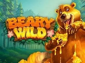 Beary Wild